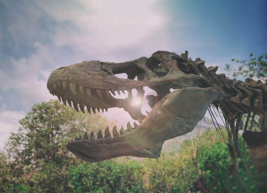 DinoZoho