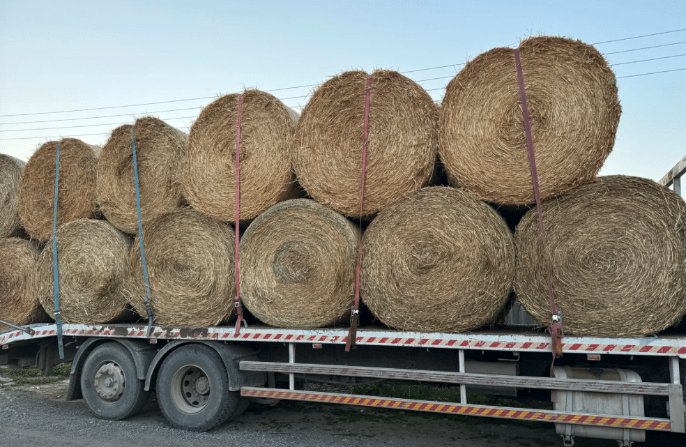 40ft trailer loaded with hay bales | Daniel Stark Injury Lawyers