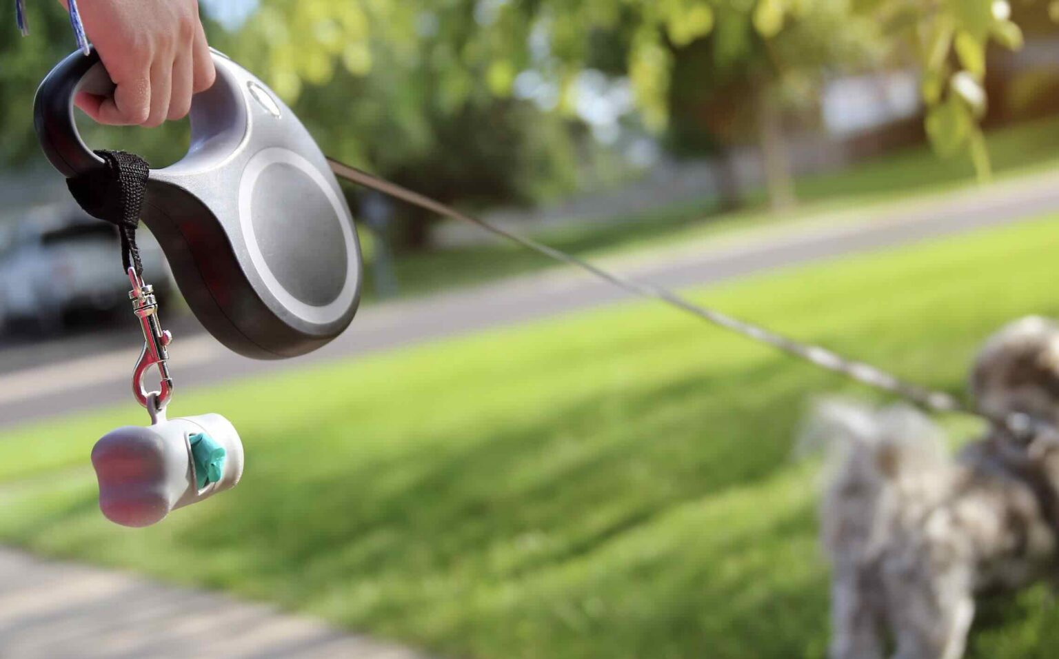 Hand holding a dog leash attached to a harness as a pet owner walks their dog outdoors in accordance with leash laws | Daniel Stark Injury Lawyers